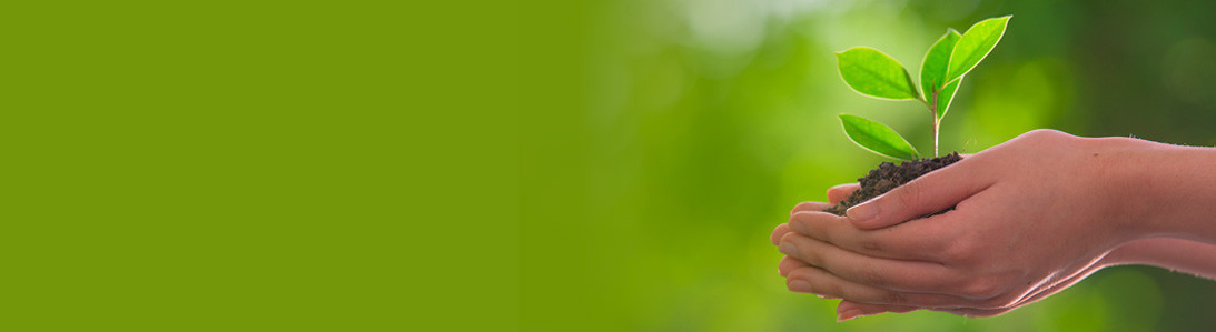 Banner Content Image: https://www.thecleverbaggers.co.uk/images/banner/source/1920X299_sustainability.u2Z4WW99d5.jpg?t=1620386538