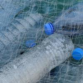 Great News for the Worlds Oceans