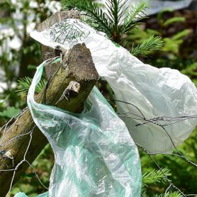 Plastic Bags and the Oil Industry