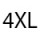 XXXX Large XXXX Large