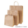 25 Brown Kraft Paper Bags 24x31cm. 11cm Gusset. Twisted paper handles